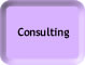 Consulting at SWWS